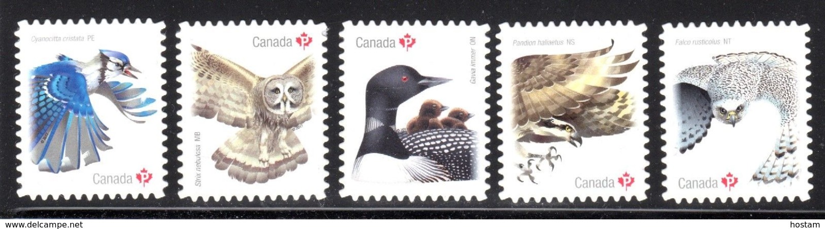 2018  DIE CUT From QUATERLY PACK,  Birds Whooping Crane, Steller's Jay, Snowy Owl, Black-capped Chickadee, Canada Goose - Timbres Seuls