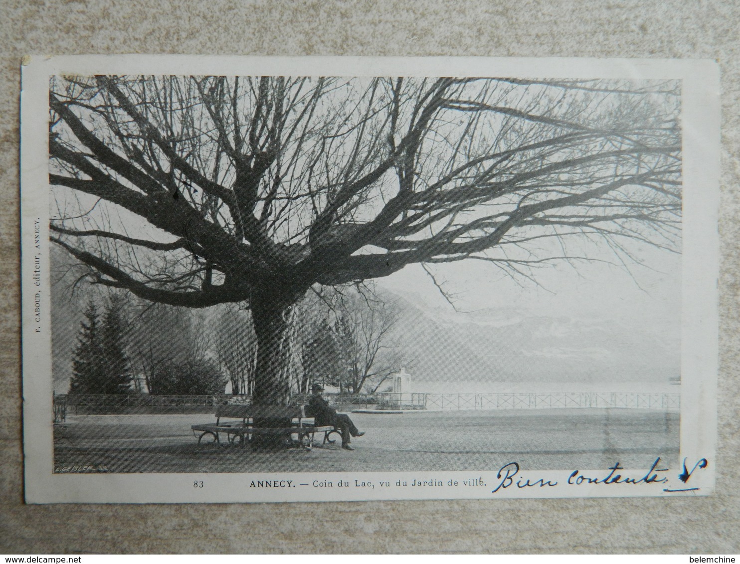 ANNECY  COIN DU LAC  VU DU JARDIN DE VILLE - Annecy