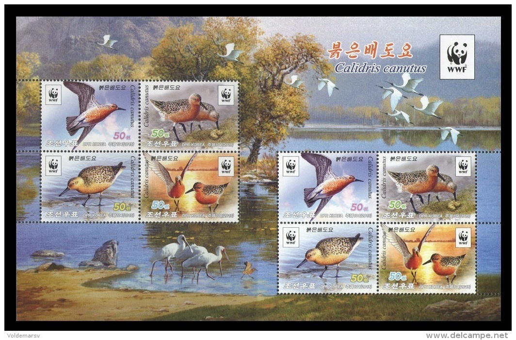 North Korea 2015 Mih. 6247/50 Fauna. WWF. Birds. Red Knot (M/S) MNH ** - Korea, North