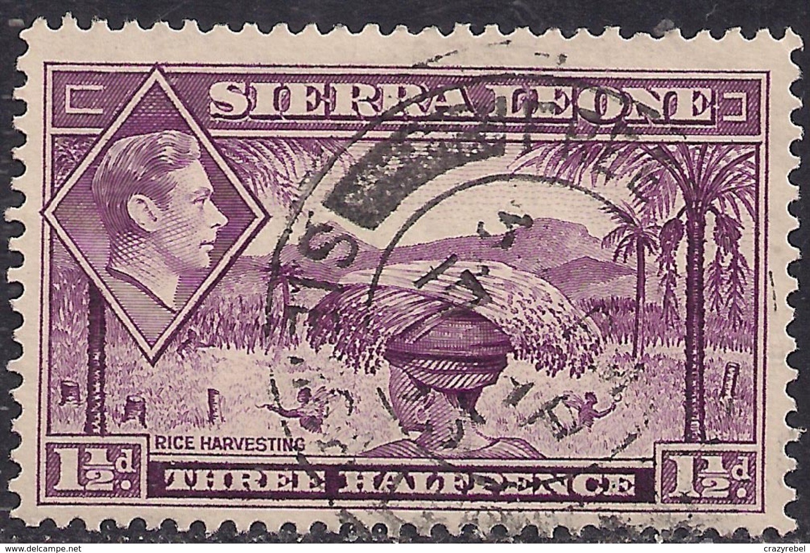 Sierra Leone 1938 - 44 KGV1 1 1/2d Mauve SG 190a ( G1486 ) - Sierra Leone (...-1960)