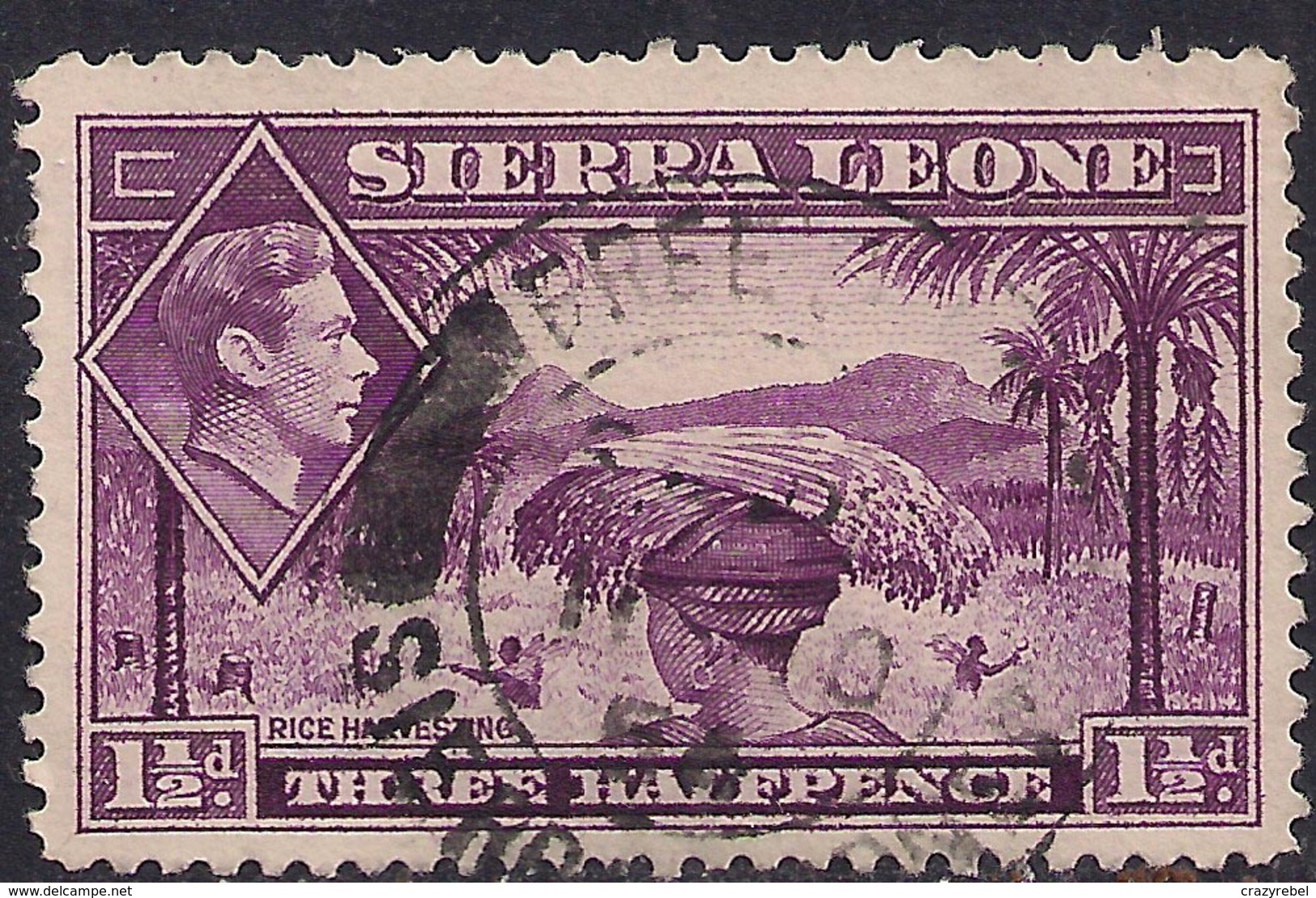 Sierra Leone 1938 - 44 KGV1 1 1/2d Mauve SG 190a ( G1487 ) - Sierra Leone (...-1960)