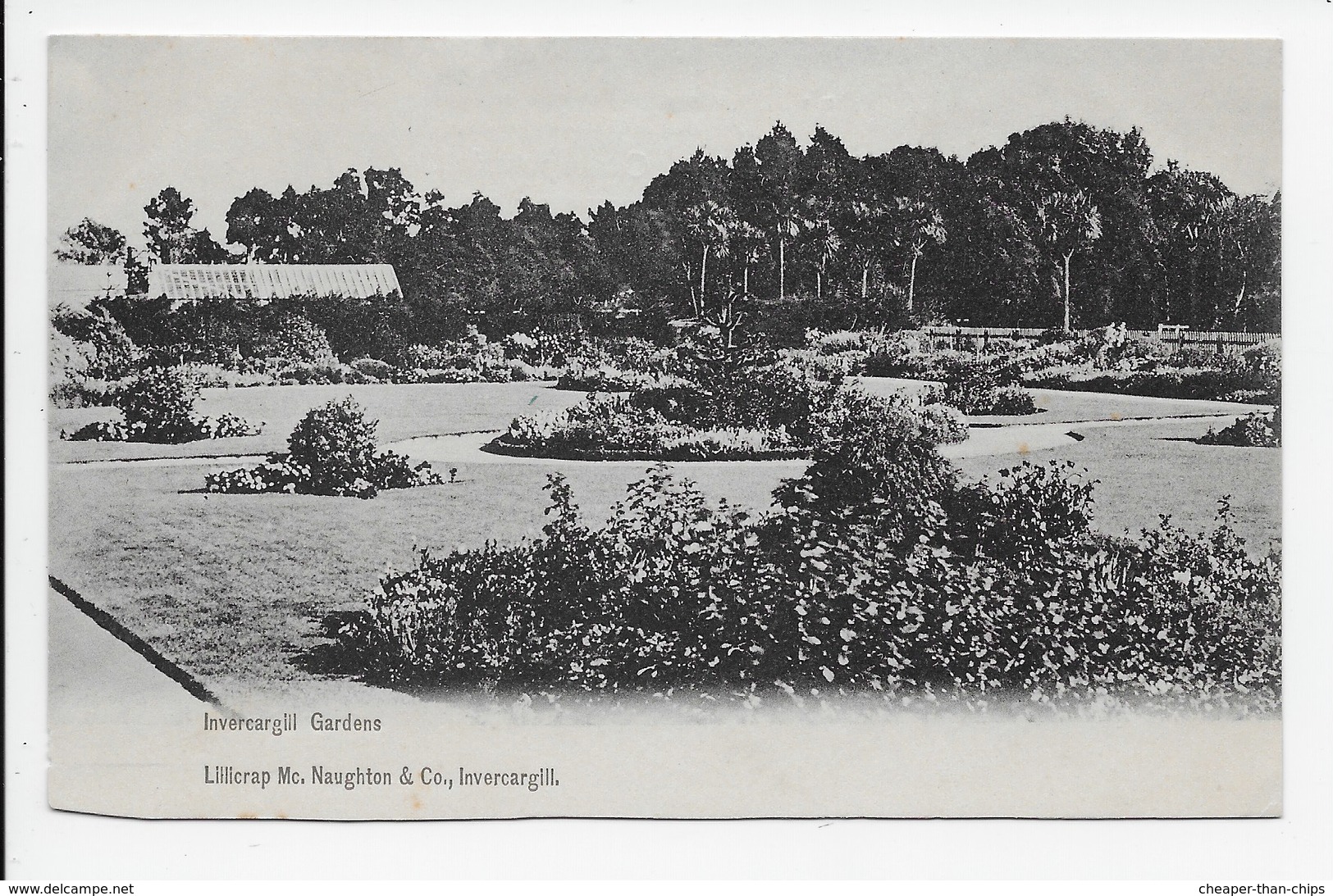 Invercargill Gardens - Undivided Back - New Zealand