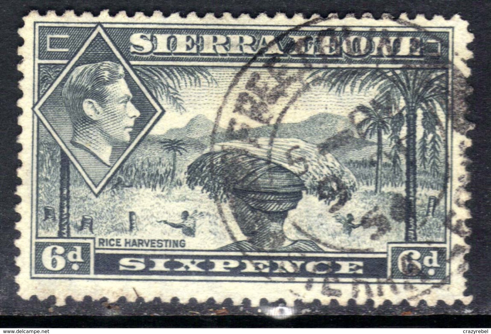 Sierra Leone 1938 - 44 KGV1  6d Grey SG 195 ( G1341 ) - Sierra Leone (...-1960)