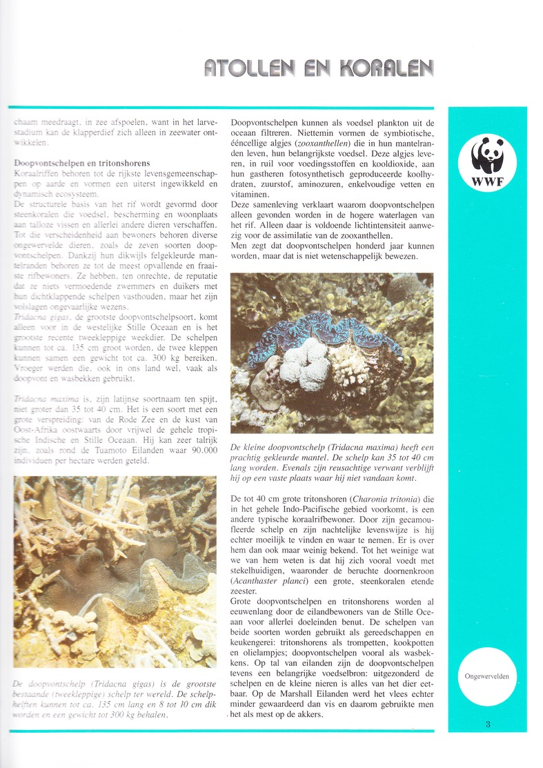 Prachtige Verzameling Van 2 Cassettes Met Verzamelbanden Van Het WWF (Wereldnatuurfonds) - Encyclopedieën