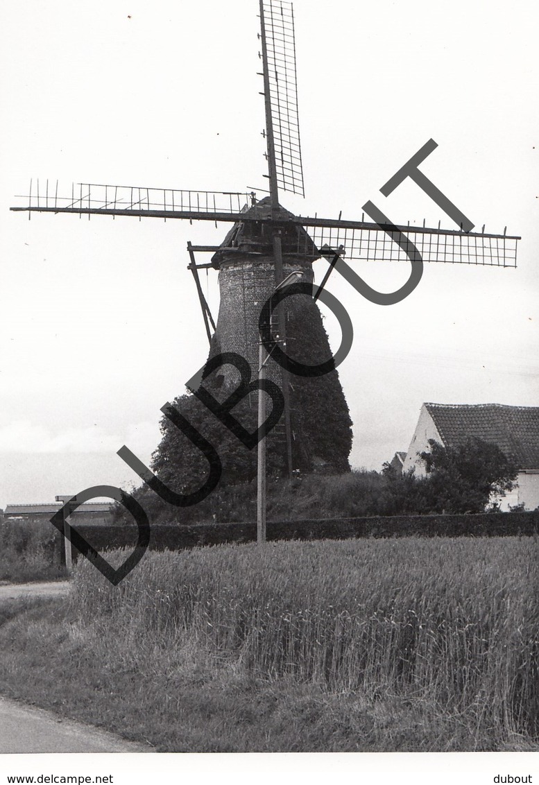 Poeke MOLEN / MOULIN -Originele Foto Jaren '70 ( A.Carre) A6 - Aalter