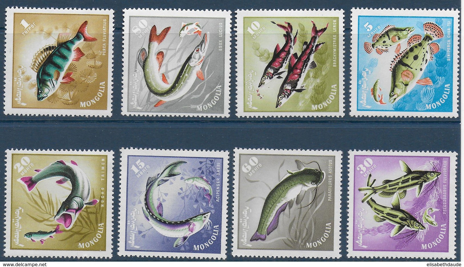 MONGOLIE - YVERT N° 350/357 ** MNH - POISSONS - Mongolie