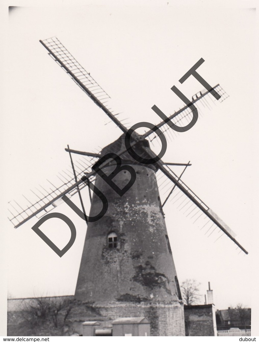 Betekom MOLEN / MOULIN -Originele Foto Jaren '70 ( A.Carre) A27 - Begijnendijk