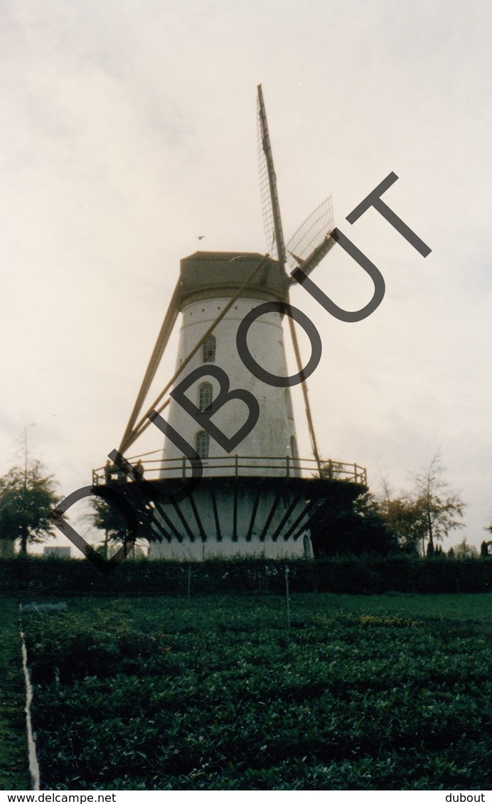 Oordegem MOLEN / MOULIN Kleurenfoto 1996 A2 - Lede