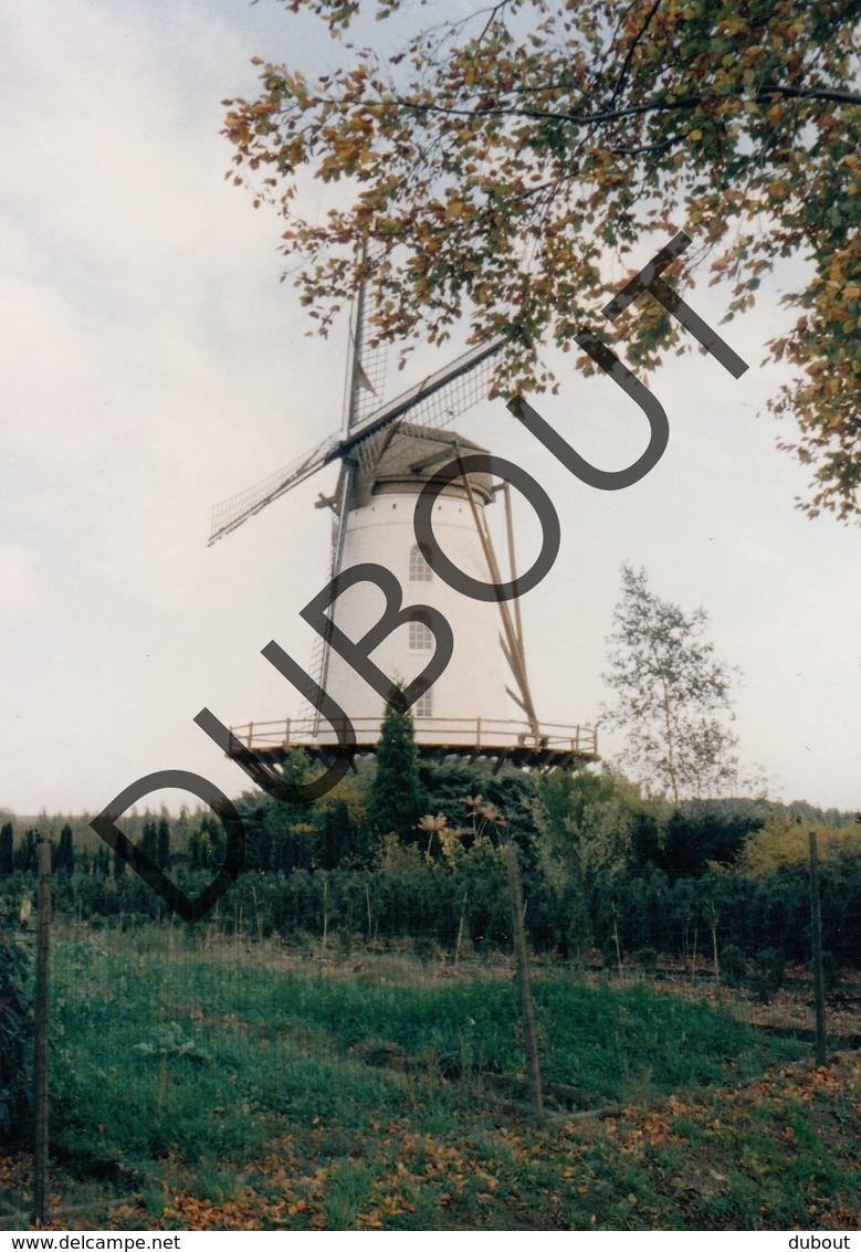 Oordegem MOLEN / MOULIN Kleurenfoto 1996 A4 - Lede