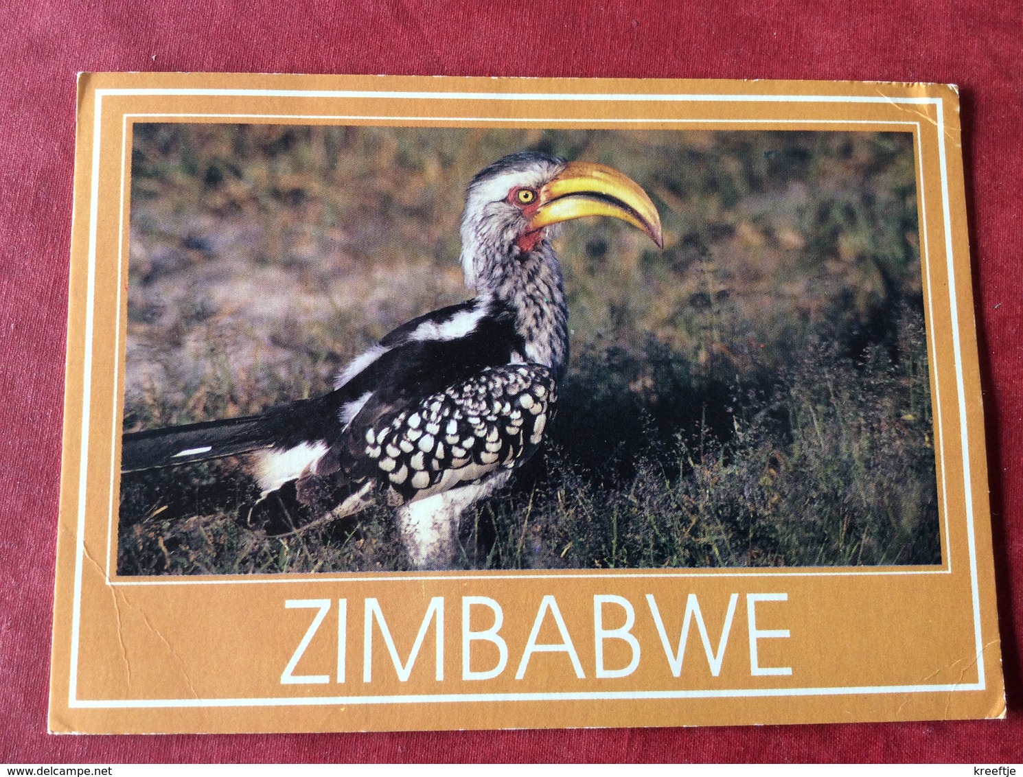 Zimbabwe Yellow Hornbill 1992 - Simbabwe