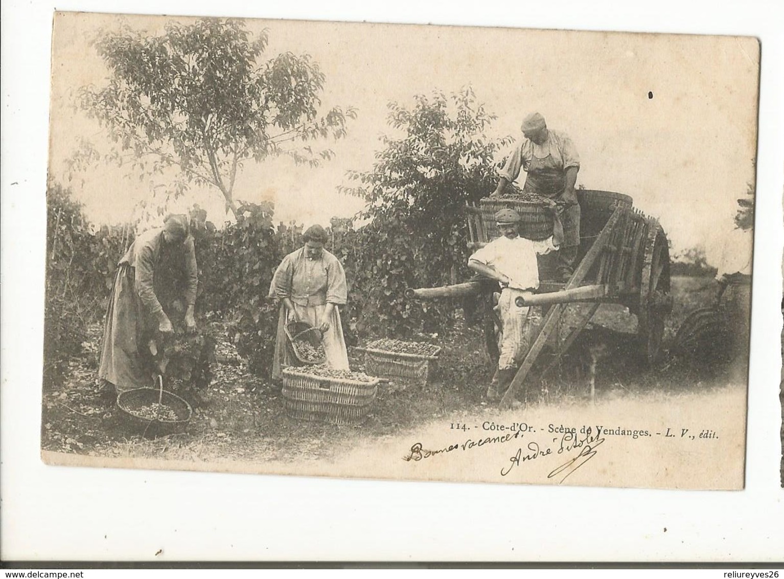 CPA, Précurseur ,D.21, N°114, Côte D' Or , Scène De Vendanges , Ed. L.F. 1902 Dos Simple - Landbouwers