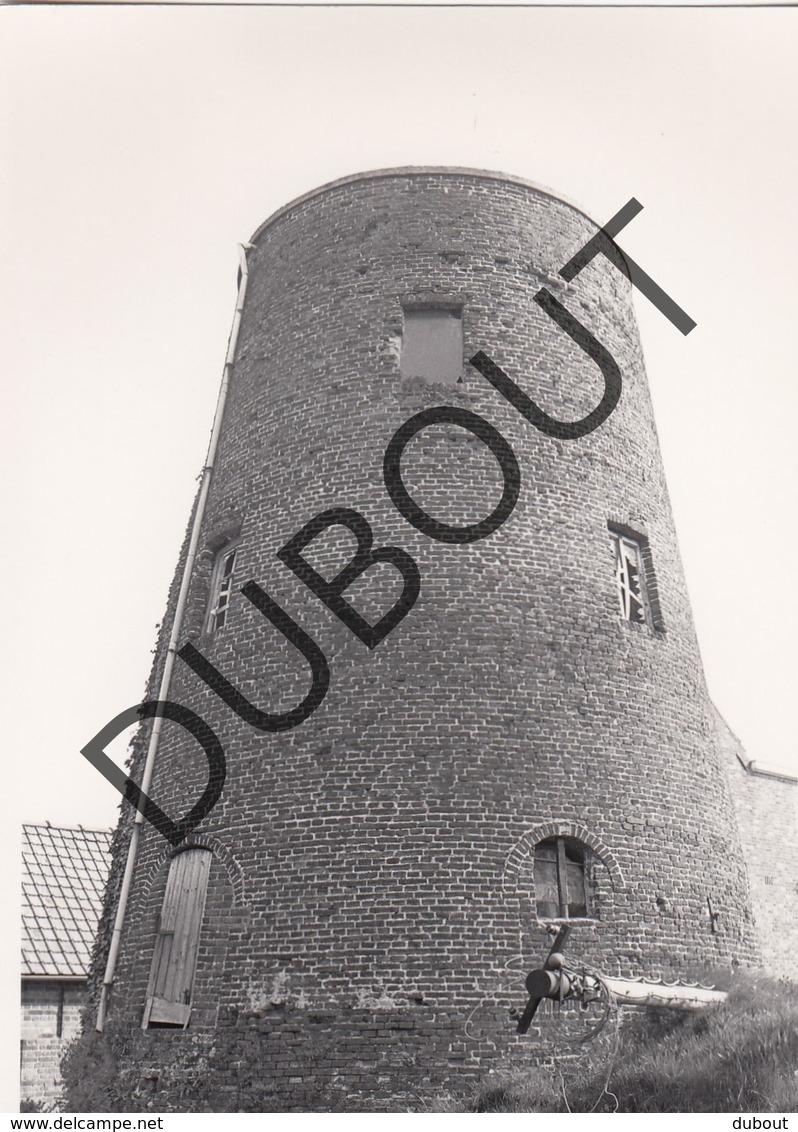 Maldegem MOLEN / MOULIN -Originele Foto Jaren '70 ( A.Carre) A44 - Maldegem