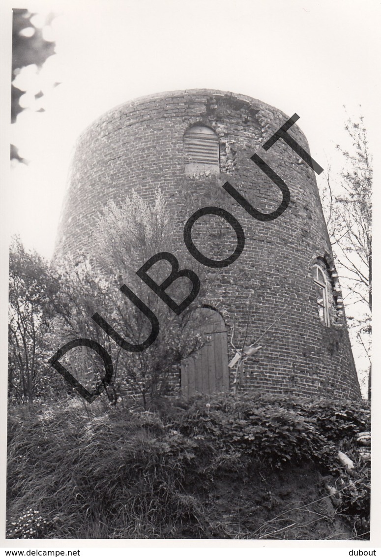 Maldegem MOLEN / MOULIN -Originele Foto Jaren '70 ( A.Carre) A45 - Maldegem