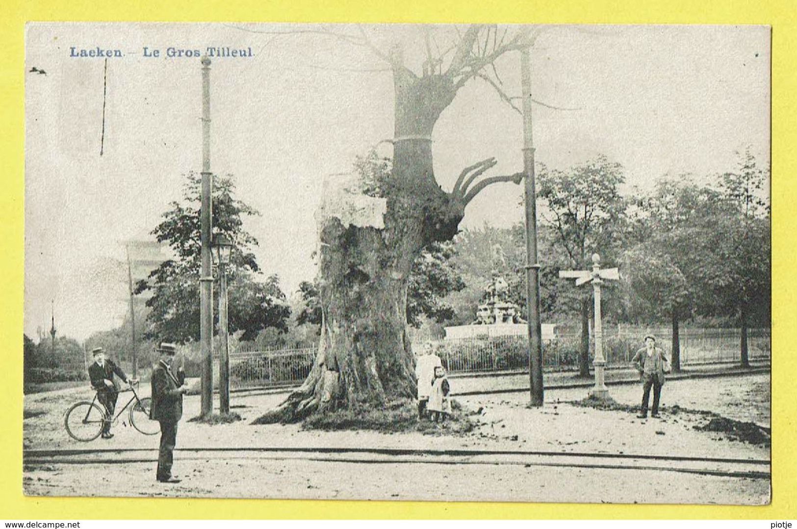 * Laken - Laeken (Brussel - Bruxelles) * (Edit J. Mangelschotz) Le Gros Tilleul, Tramway, Animée, Vélo, Arbre, Enfant - Laeken