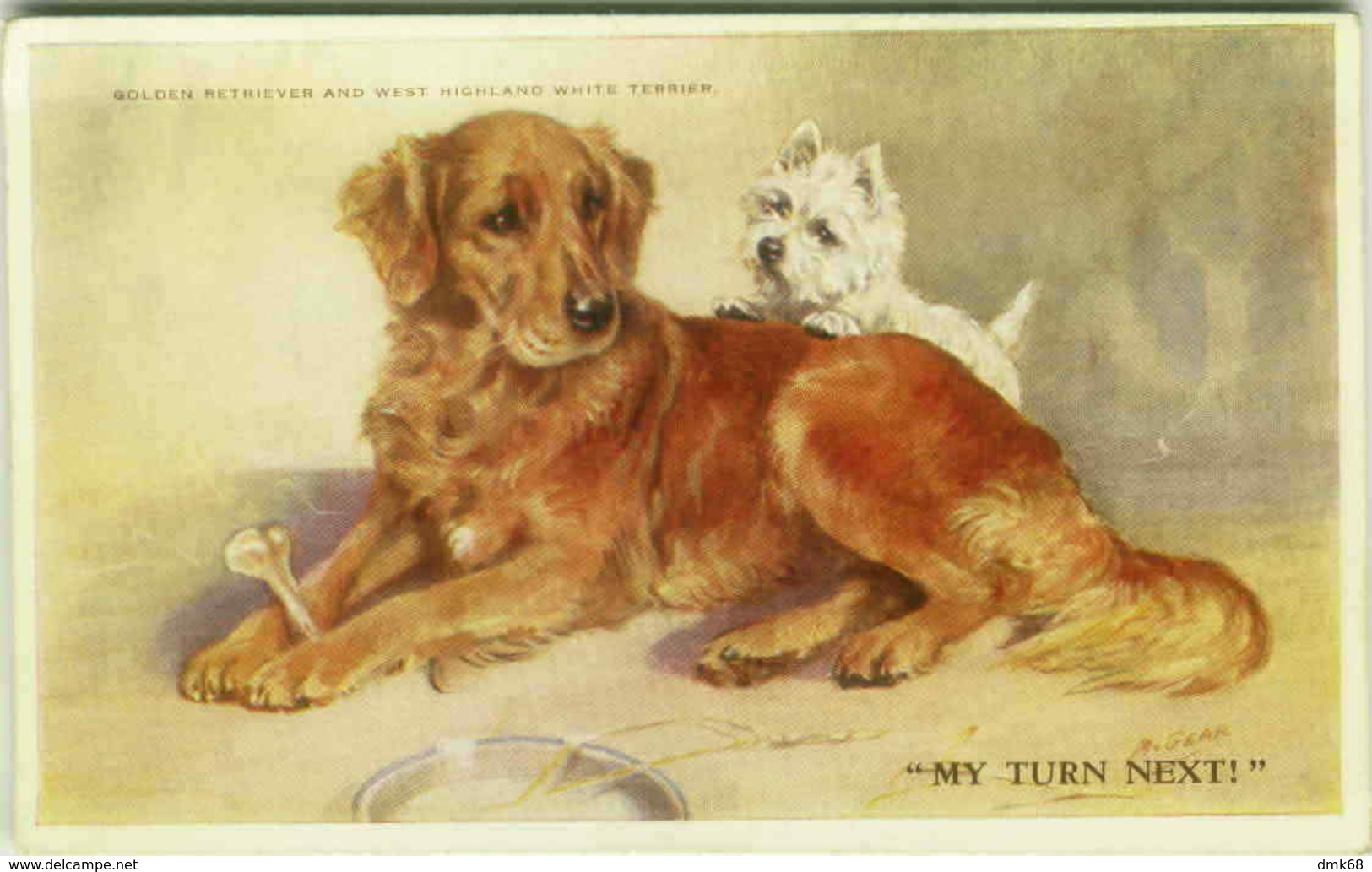 MABEL GEAR - DOG - GOLDEN RETRIEVER & WEST HIGHLAND WHITE TERRIER - 1930s (BG56) - Andere & Zonder Classificatie