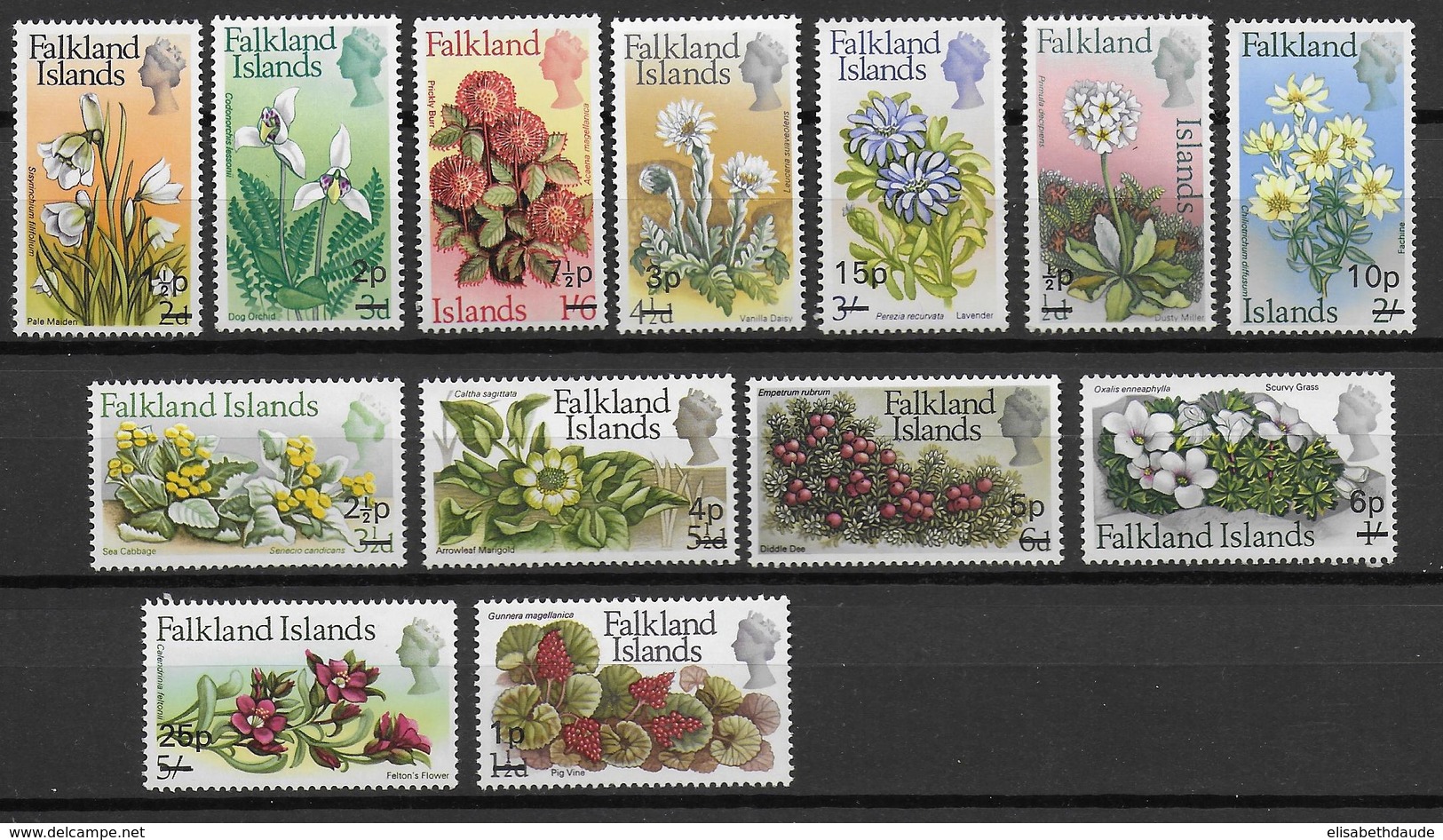 FALKLAND - YVERT N° 191/203 ** MNH - COTE = 60 EUR. - FAUNE ET FLORE - - Falkland