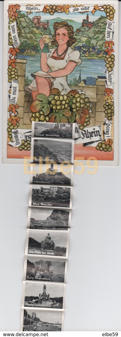 Vin, Viele Grüße Vom Rhein, Carte à Système, Multivues, Neuve - Viñedos