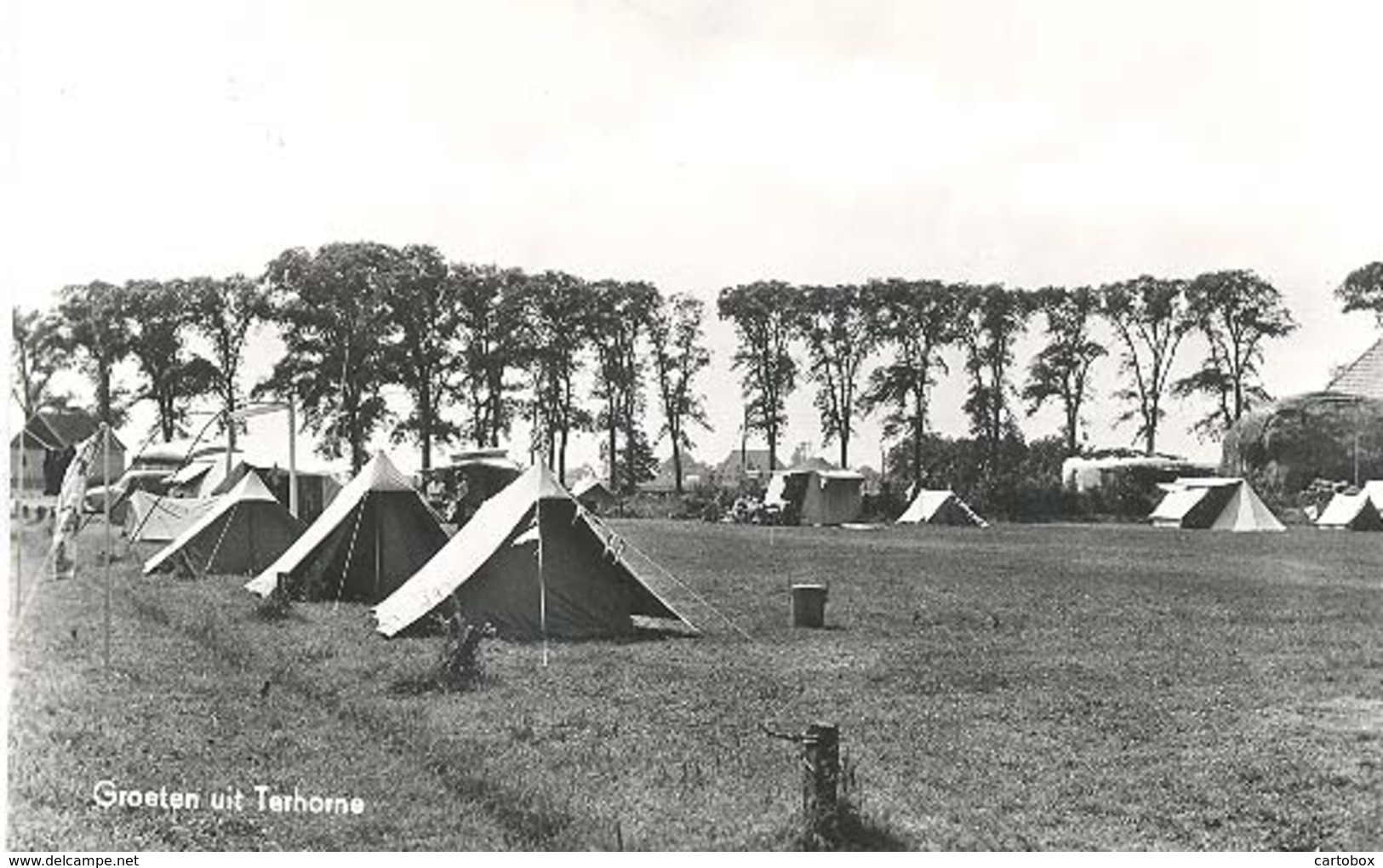 Terhorne, Groeten Uit Terhorne   (camping)      Glansfotokaart - Andere & Zonder Classificatie