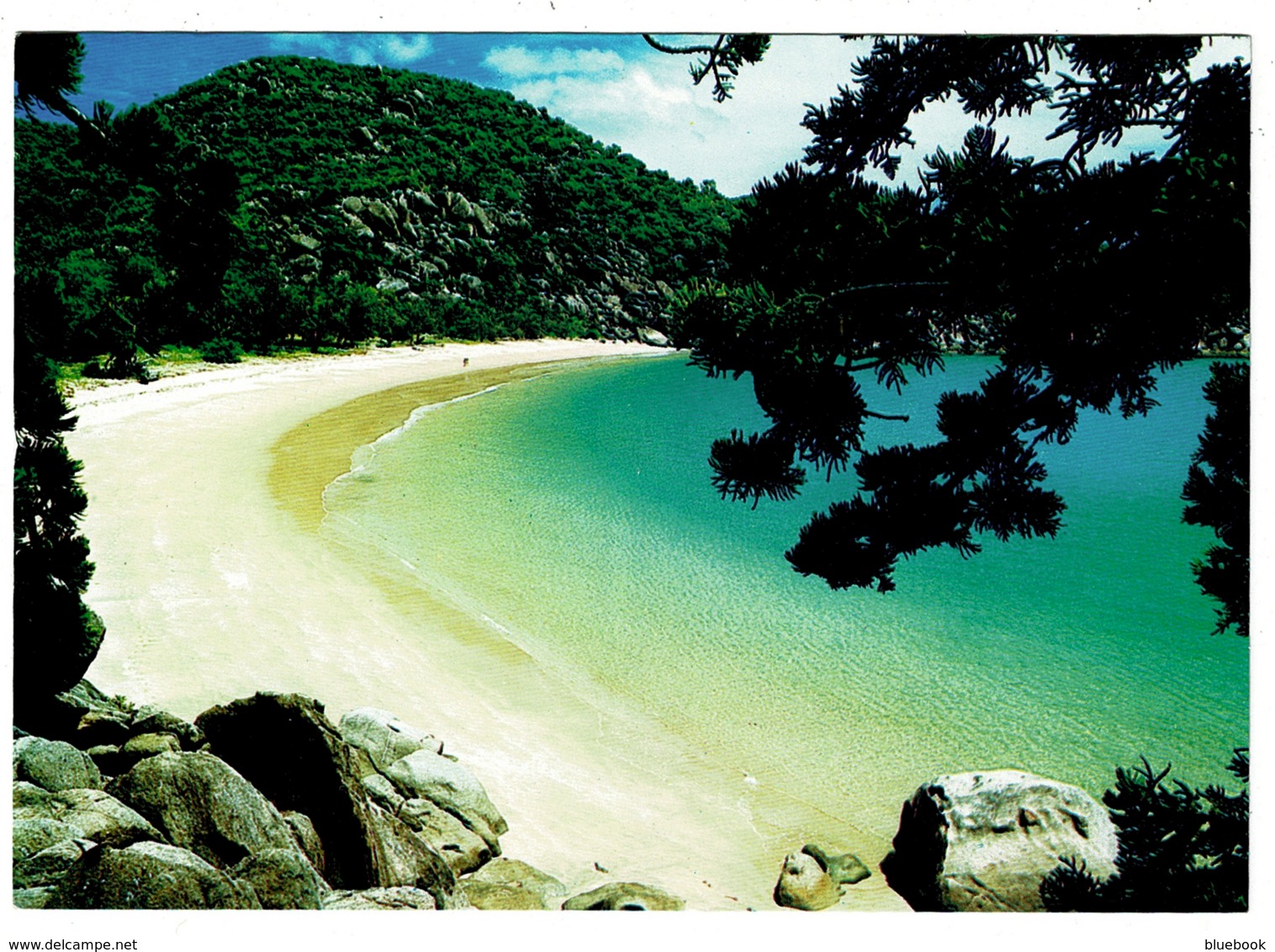 Ref 1229 - 1995 Postcard - Radical Bay Magnetic Island Queensland Australia - $1 Rate To UK - AAT Kiler Whale Stamp - Other & Unclassified