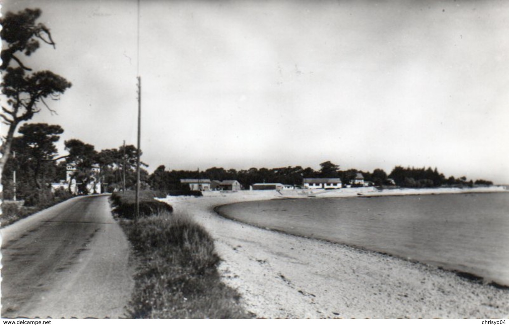 88Sv  17 Ile De Ré Rivedoux Plage Route De La Flotte - Ile De Ré