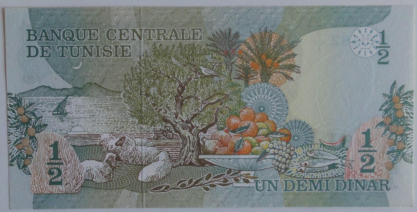 Tunisia Tunisie 1/2 Dinar 1973, UNC, World Paper Money P-69a - Tunisie