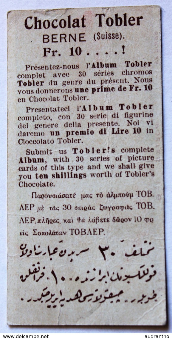 Belle Chromo Chocolat TOBLER Berne Suisse Shakespeare Série 29 N°2 - Sonstige & Ohne Zuordnung