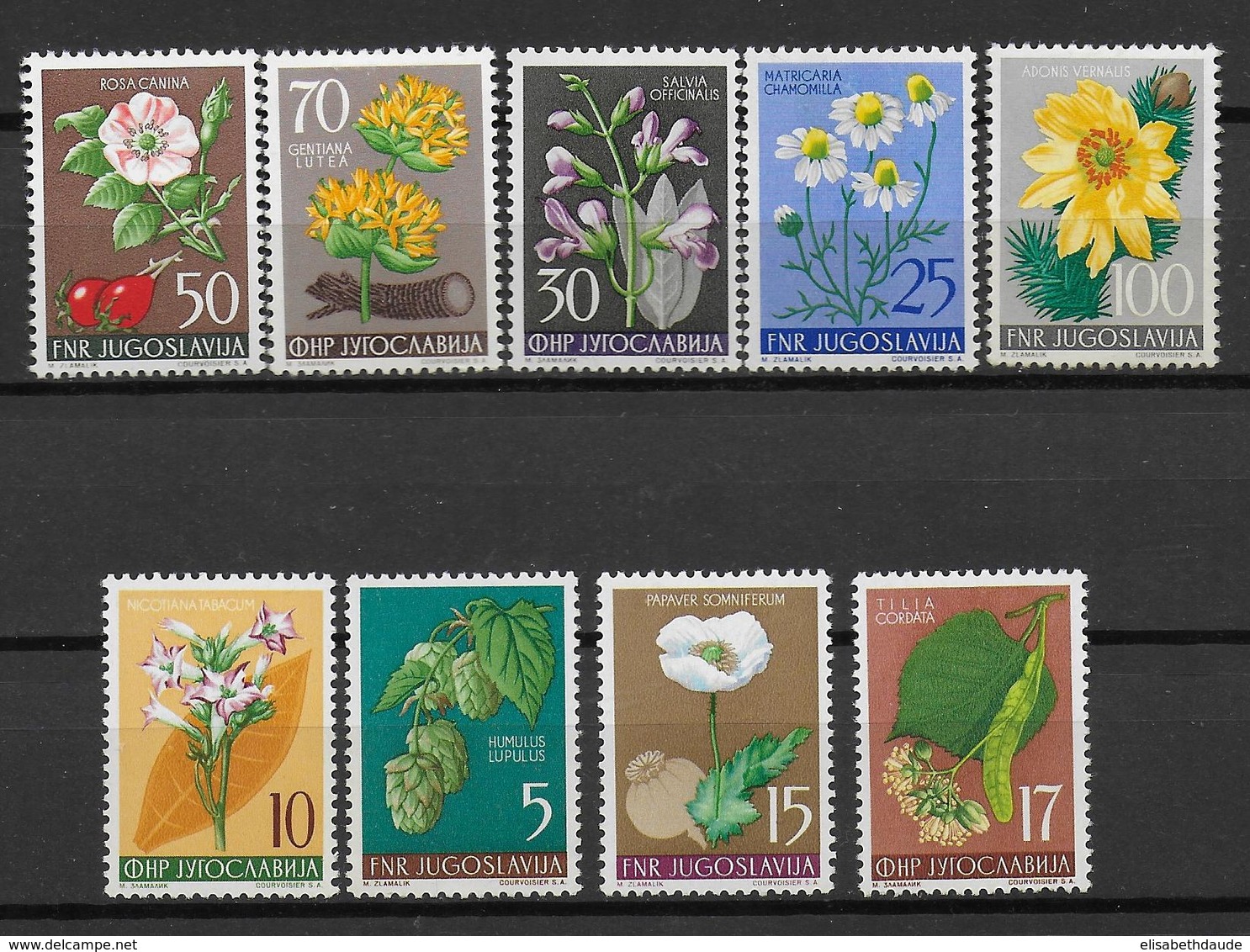 YOUGOSLAVIE - 1955 - YVERT N° 667/675 ** MNH - COTE = 60 EUR. - FAUNE ET FLORE - Neufs