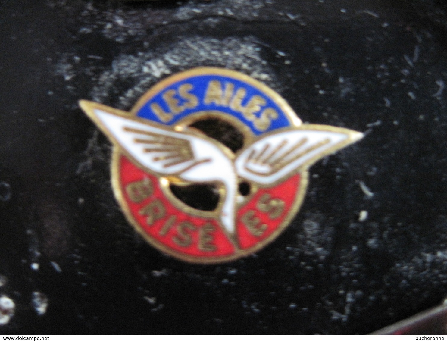 PINS  LES AILES BRISEES Anciens Combattants Et Blessés De L'armée Aérienne  T.B.E. - Armee