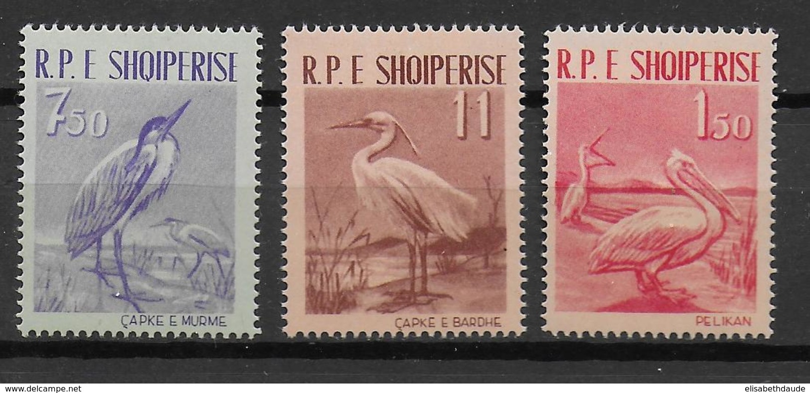 ALBANIE - YVERT N° 552/554 ** MNH  - COTE = 25 EUR. - OISEAUX - Albania