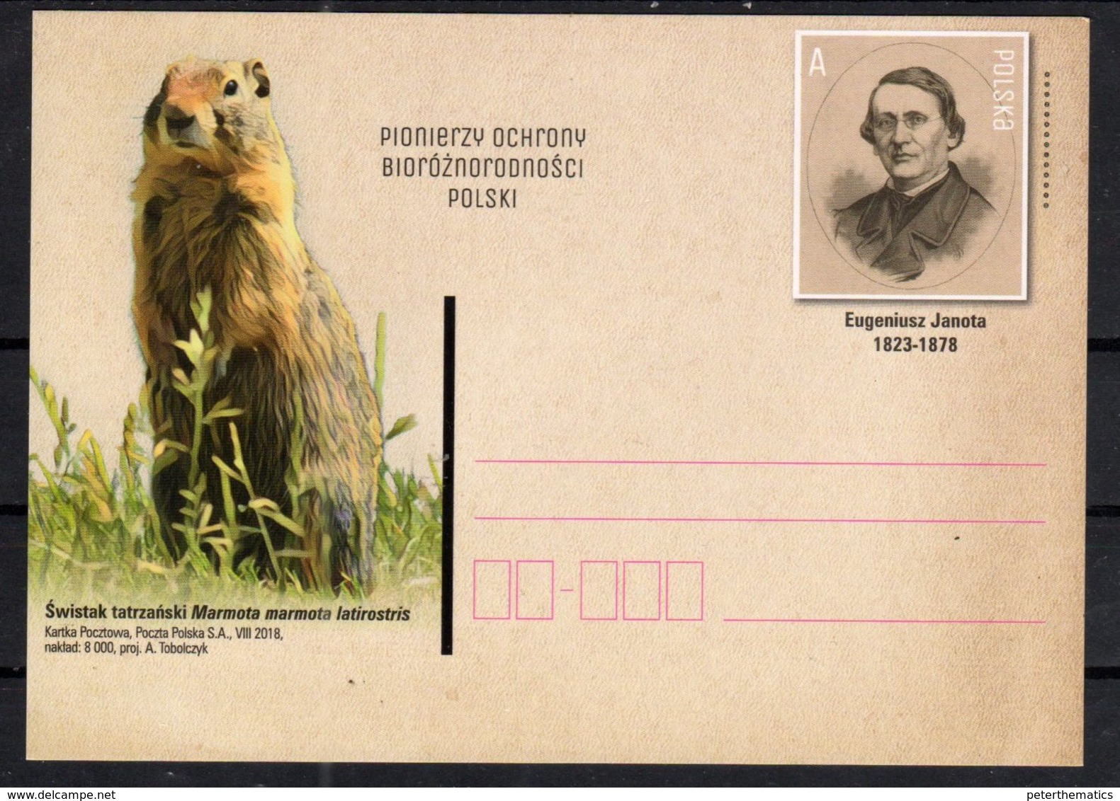 POLAND, 2018, POSTAL STATIONERY, MINT, RDOENTS, MARMOTS, PIONEERS OF BIODIVERSITY,   PREPAID POSTCARD - Rongeurs