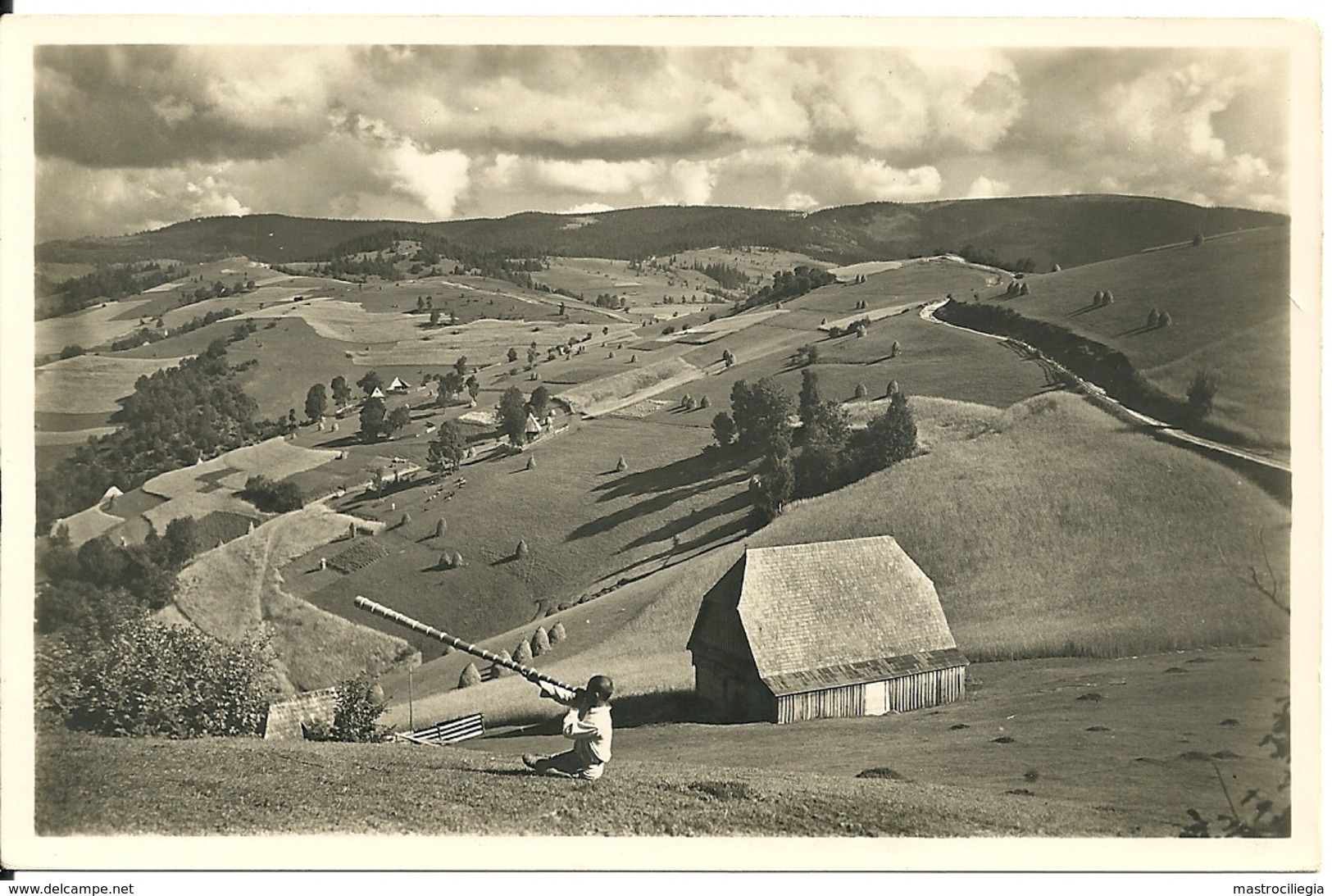 ROMANIA  TRANSILVANIA Munții Apuseni - Romania