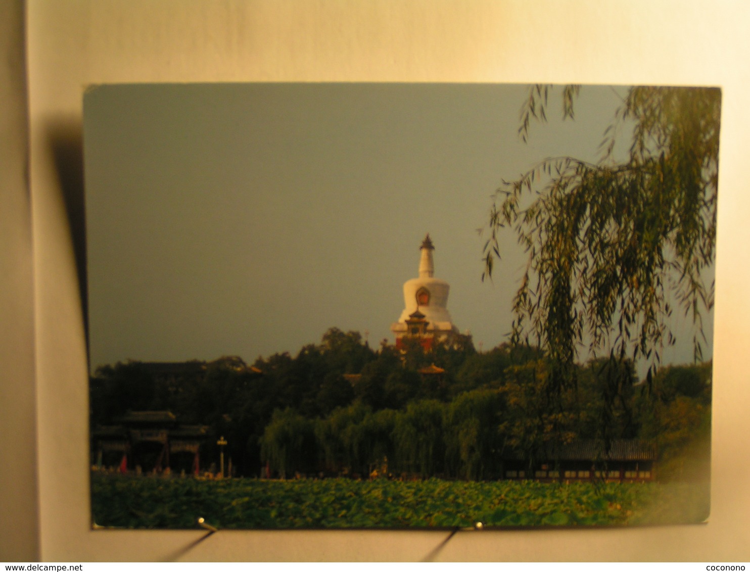 Beijing (ou Pékin) - Beihai Park - Formose