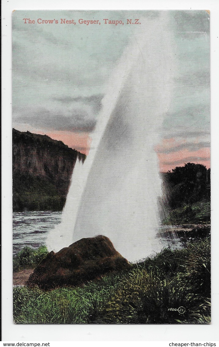 The Crow's Nest Geyser, Taupo, N.Z, - Valentine 18001 - New Zealand