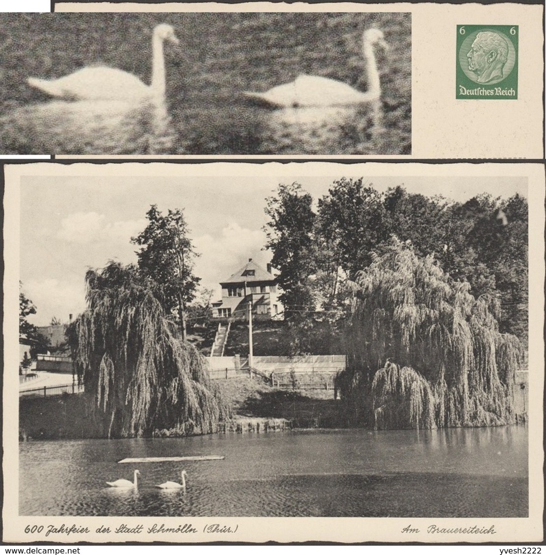 Allemagne 1938. Entier Timbré Sur Commande.  Schmölln, Thuringe. Am Brauereiteich, Parc, étang Avec Cygnes - Swans