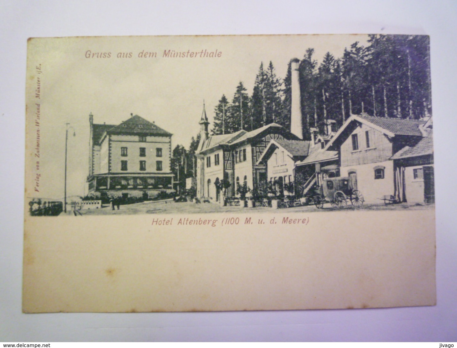 GRUSS  Aus Dem  MÜNSTERTHALE  :  HOTEL  ALTENBERG  X - Münstertal