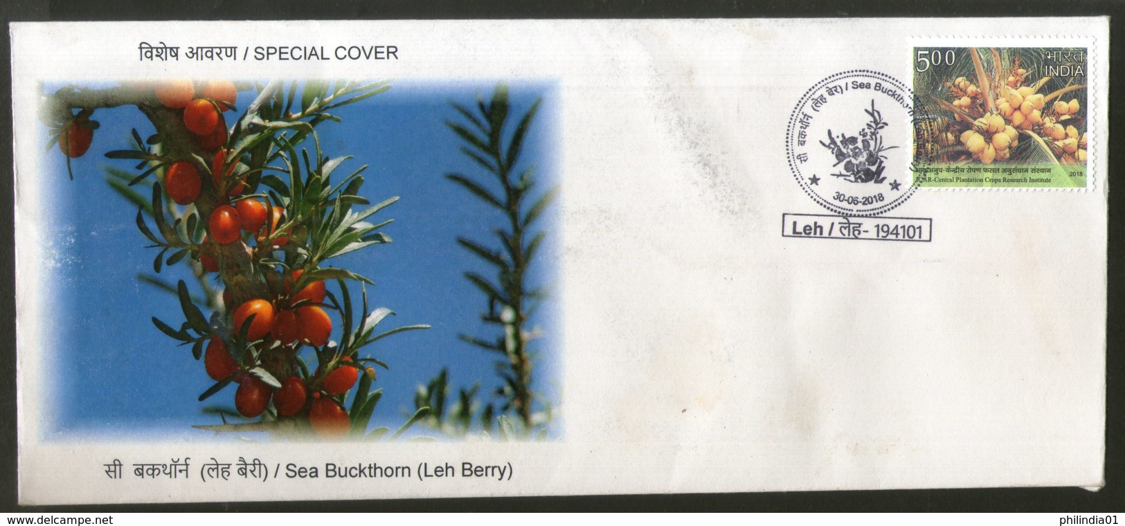 India 2018 Sea Buckhorn Leh Berry Fruits Plant Tree Special Cover # 6842 - Fruit