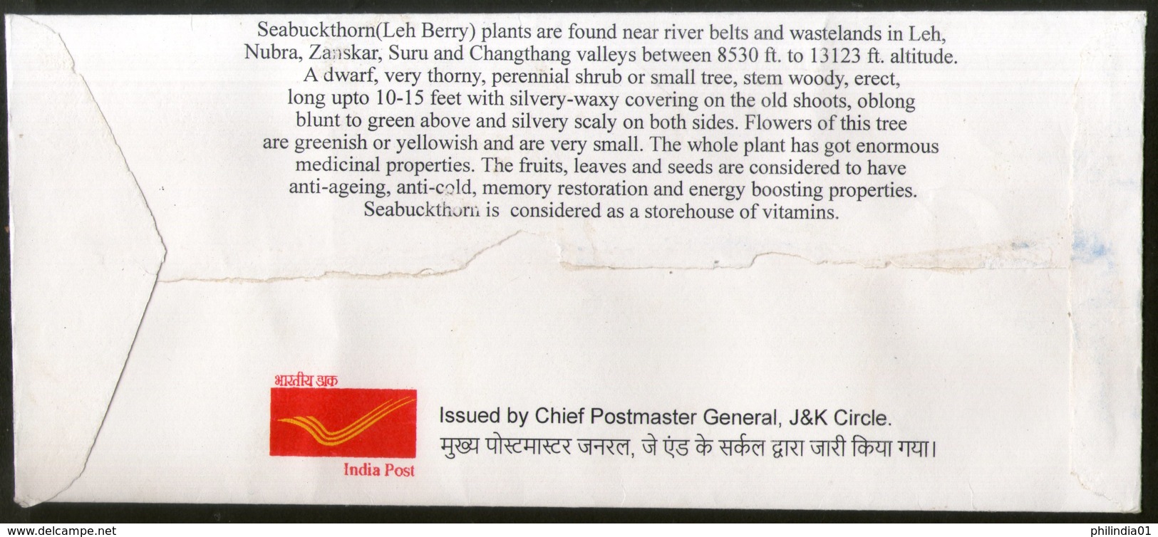 India 2018 Sea Buckhorn Leh Berry Fruits Plant Tree Special Cover # 6842 - Fruits