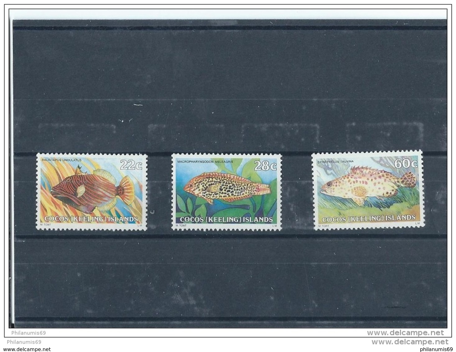 COCOS 1980 - YT N° 50/52 NEUF SANS CHARNIERE ** (MNH) GOMME D'ORIGINE LUXE - Cocos (Keeling) Islands