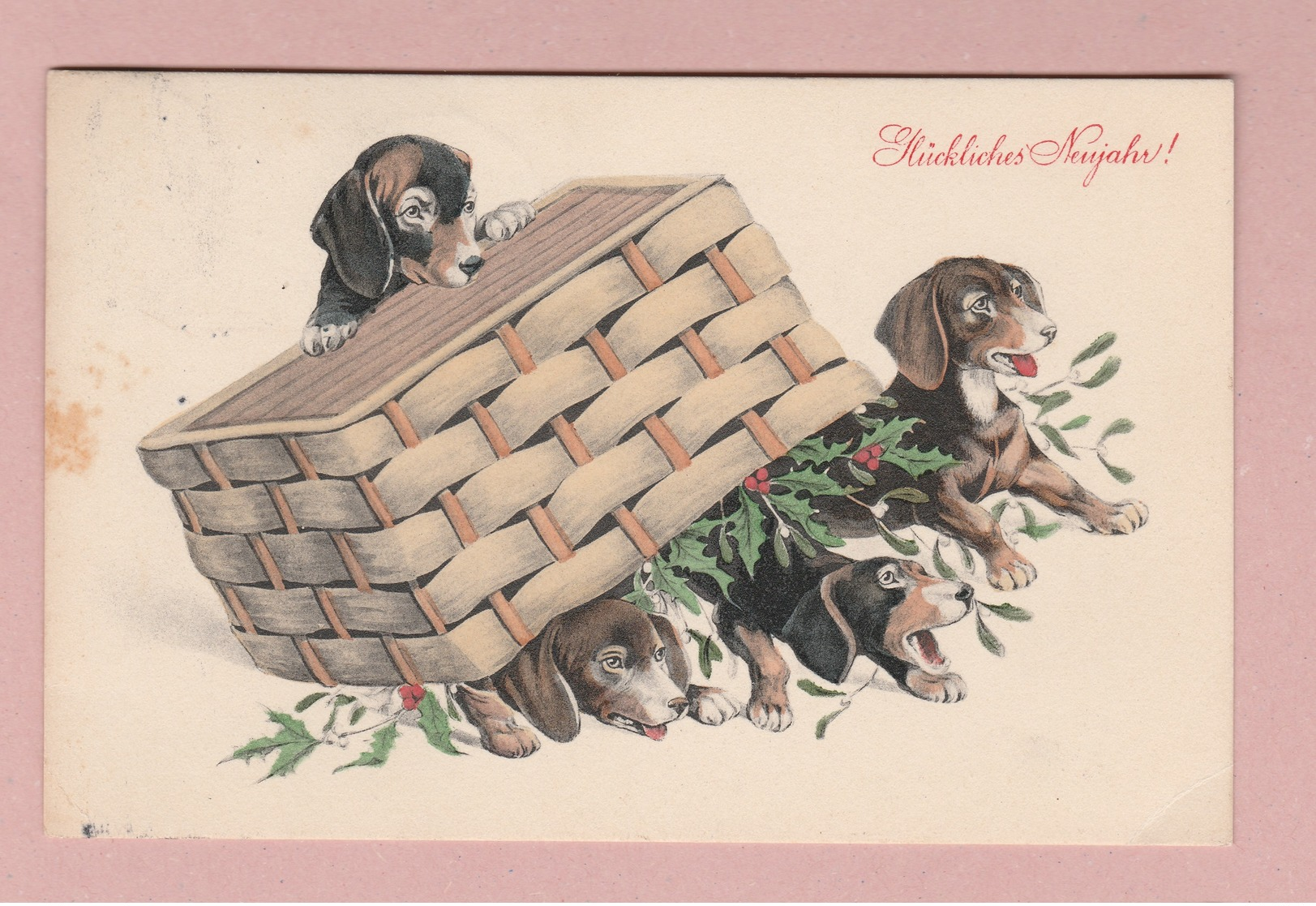 AK Motiv Hunde Glückliches Neujahr Ges. 31.12.1907 Pforzheim Verlag ? #2559 - Dogs