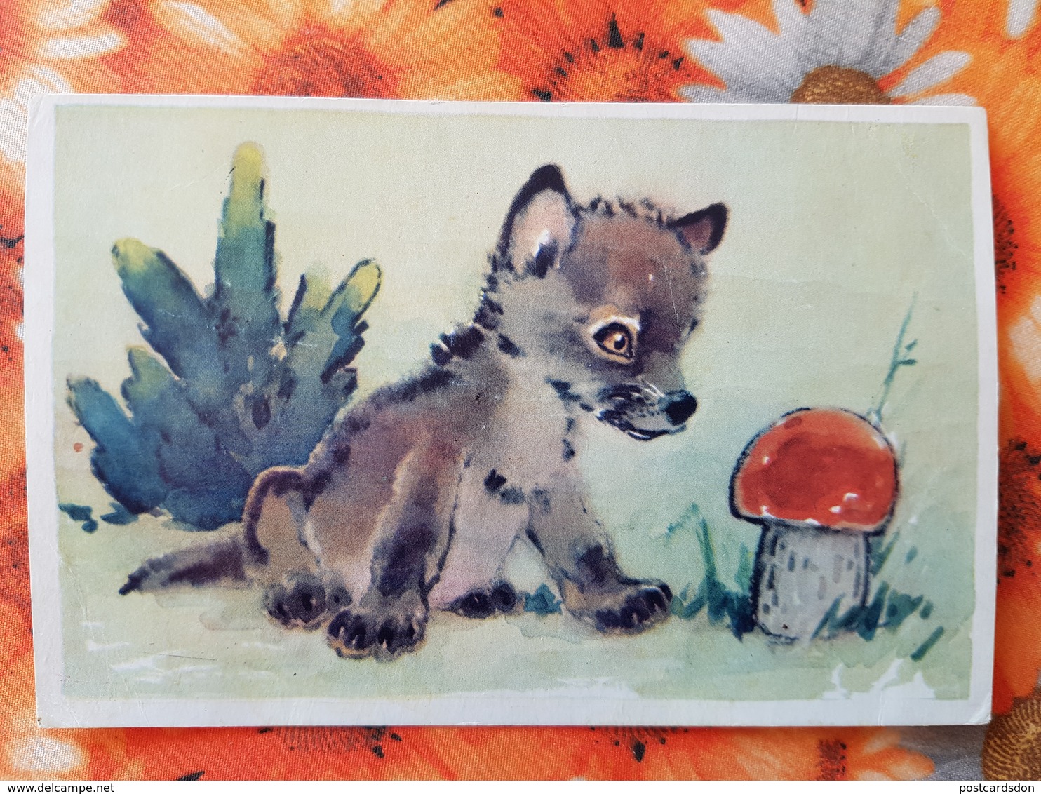 WOLF AND LITTLE RED RIDING HOOD -  Mushroom - Old Postcard - - Champignon 1970 GAMBURGER - Funghi