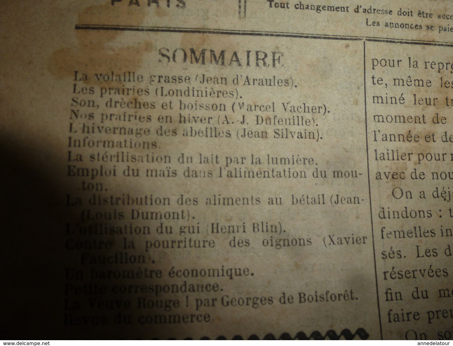 1913 L'AMI DU CULTIVATEUR-->L'hivernage Des Abeilles;Utilisations Du Gui (alimentation Du Bétail ,enrichir Le Lait),etc - Autres & Non Classés