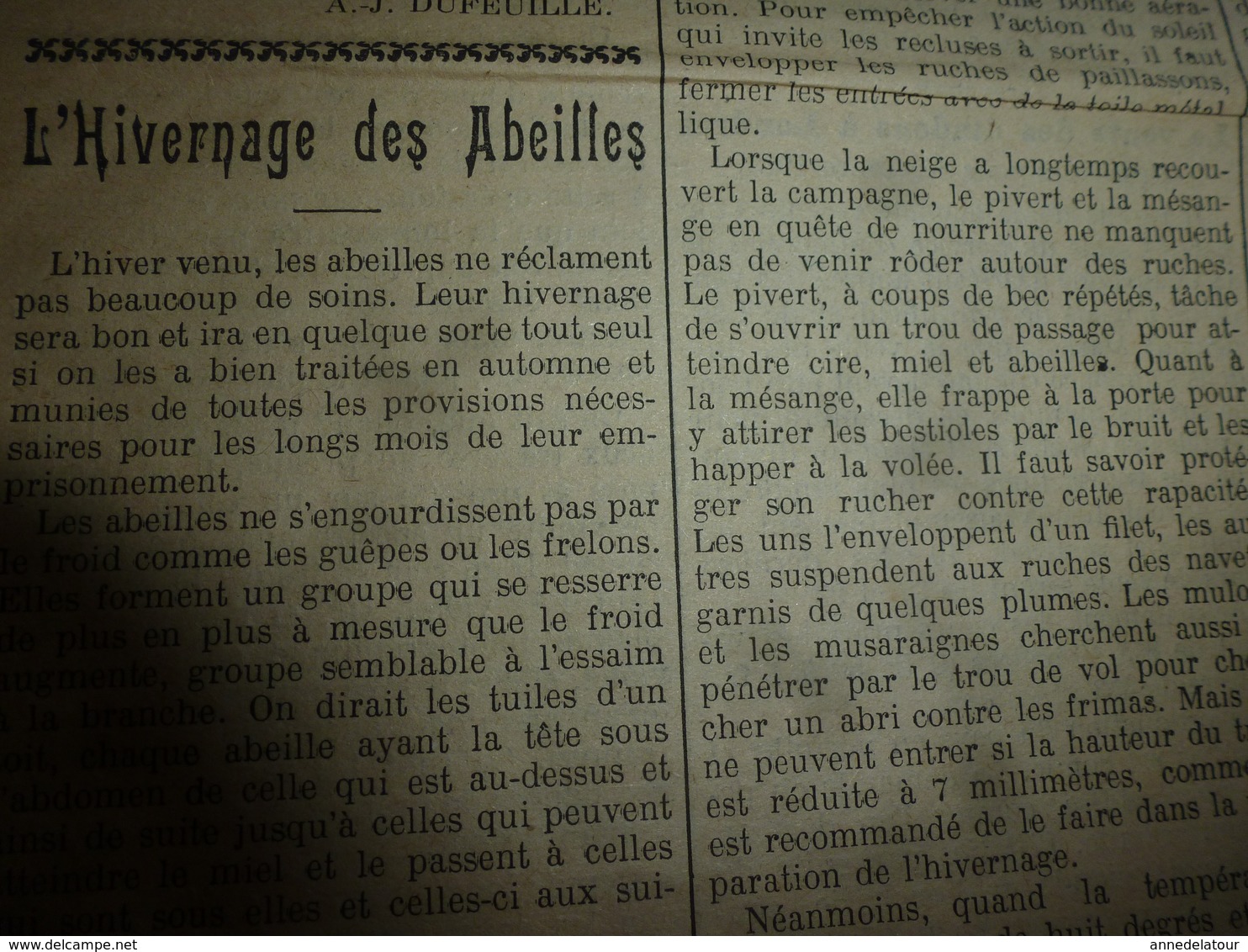 1913 L'AMI DU CULTIVATEUR-->L'hivernage des abeilles;Utilisations du gui (alimentation du bétail ,enrichir le lait),etc