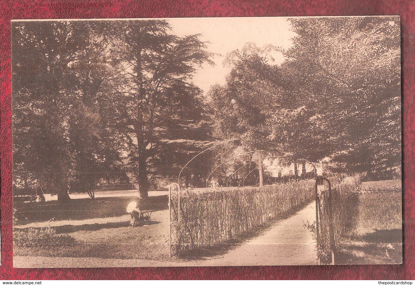 CHAUDFONTAINE (4050) Grand Hotel Des Bains - Un Coin Du Parc Unused - Chaudfontaine