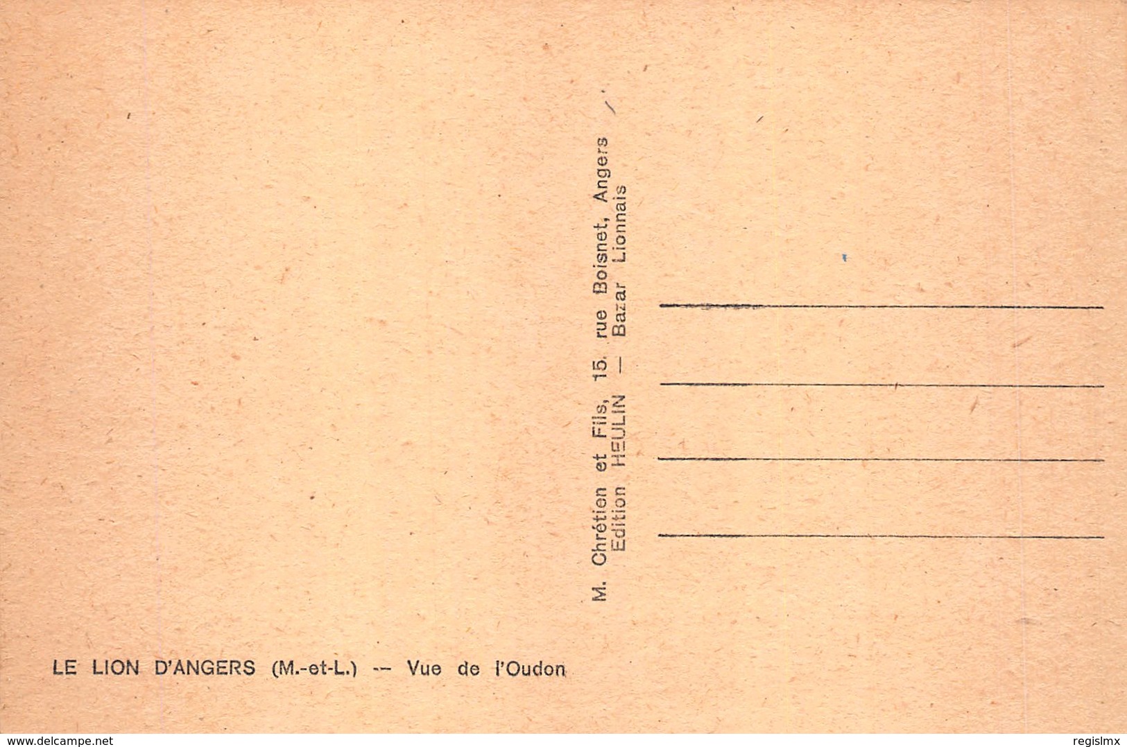 49-LE LION D ANGERS-N°R2128-F/0141 - Other & Unclassified