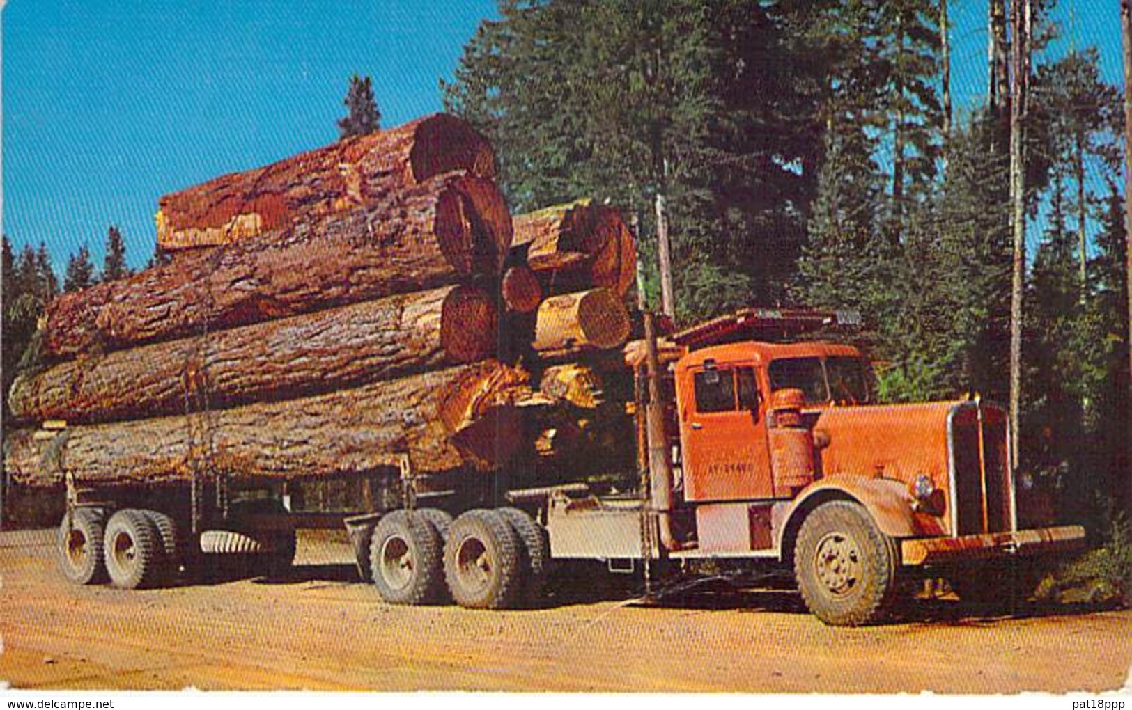 ** USA Etats-Unis - American Truck Carrying Logs / Camion Américain De Transport De Billes De Bois -CPSM PF 1964 - - Autres & Non Classés