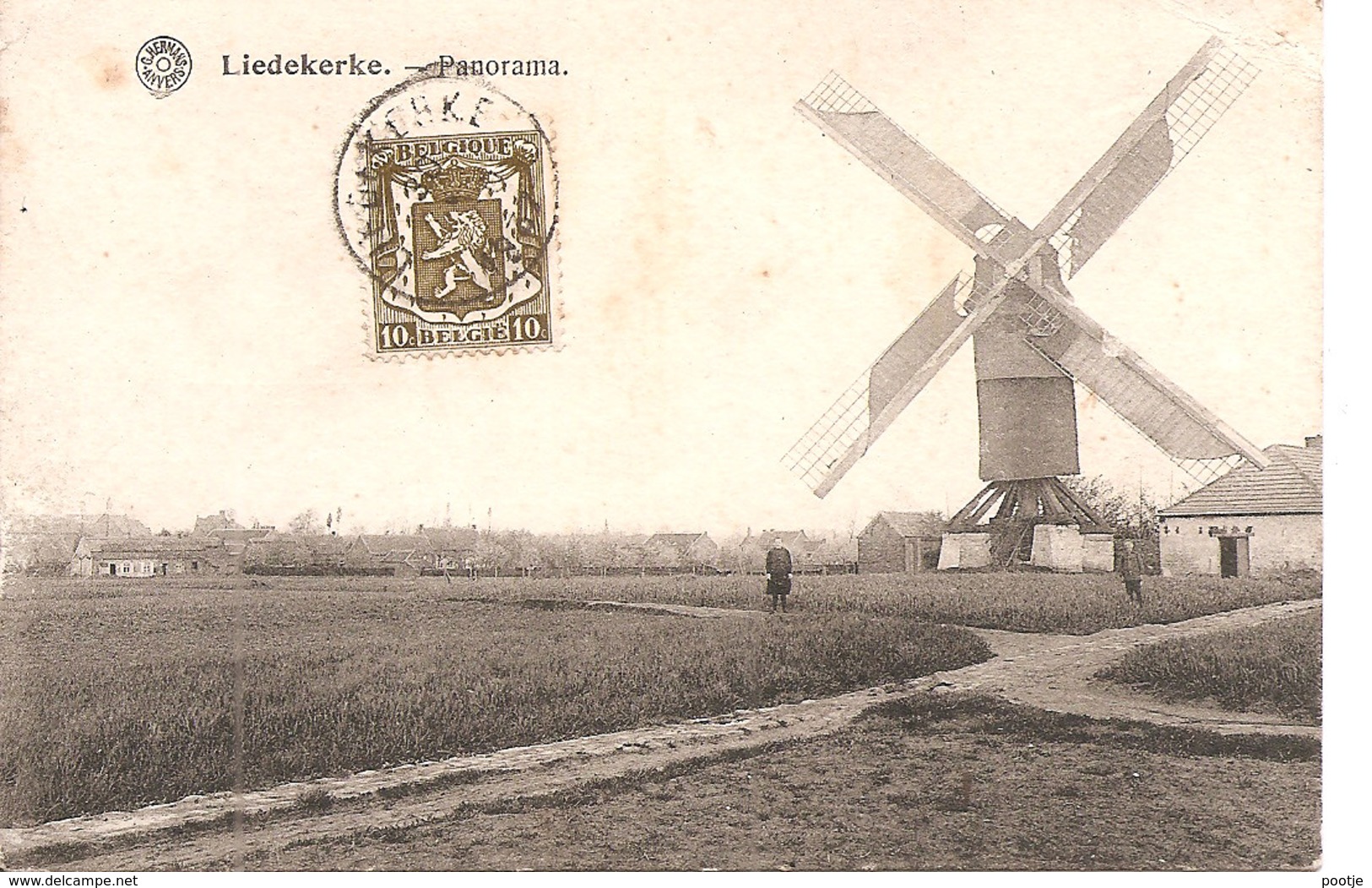 Liedekerke Panorama Molen - Liedekerke