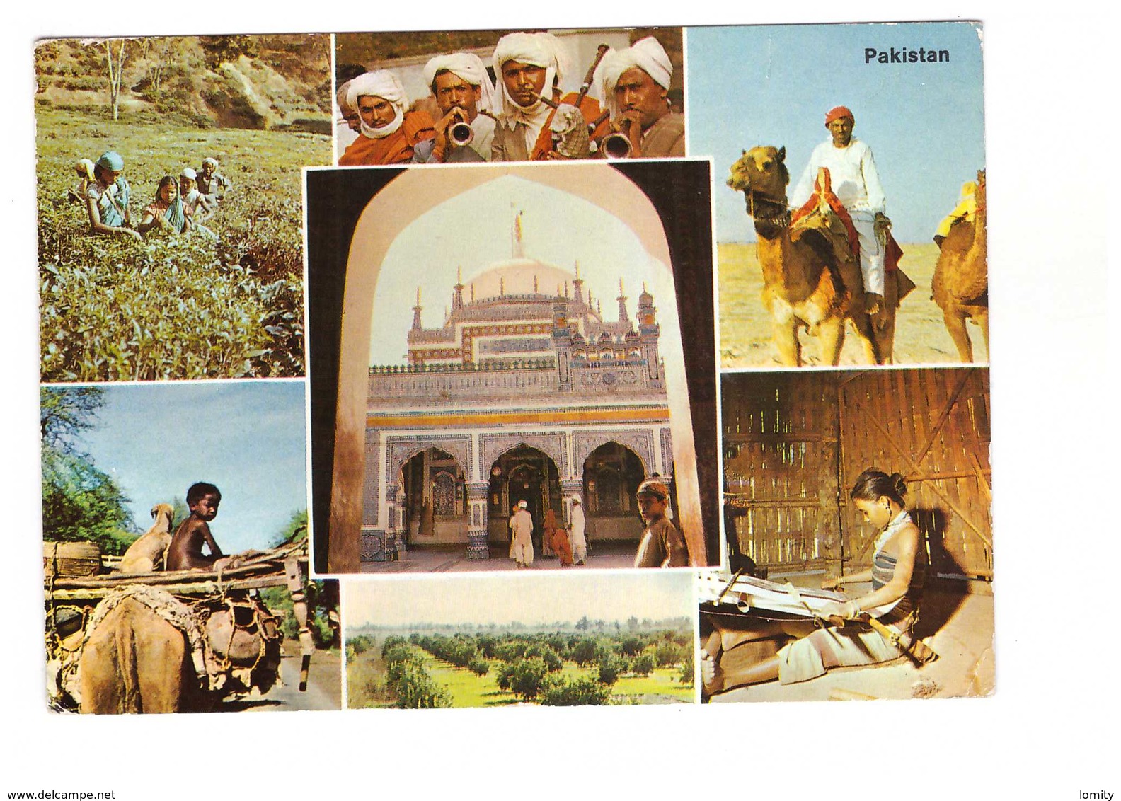 Pakistan Cartes 7 Vues  Artisanat Agriculture Folklore + Timbre Cachet 1968 CPM - Pakistan