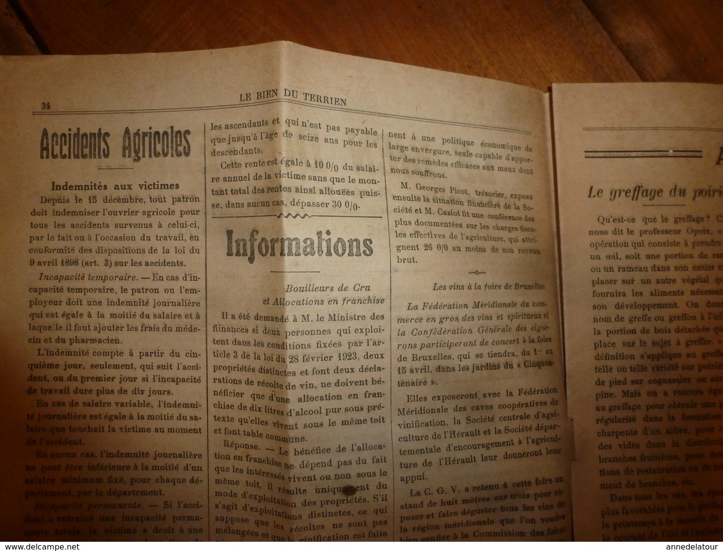 1924 LE BIEN DU TERRIEN -->Les Greffes Du Poirier; Election Reine Des Reines Du Canton De Nolay(J. Cretaine,J.Girard,etc - Autres & Non Classés