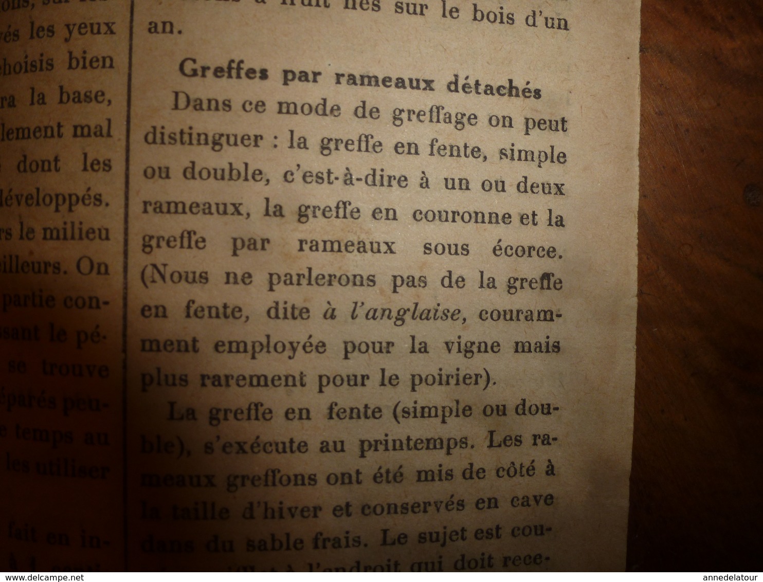 1924 LE BIEN DU TERRIEN -->Les greffes du poirier; Election Reine des Reines du canton de Nolay(J. Cretaine,J.Girard,etc