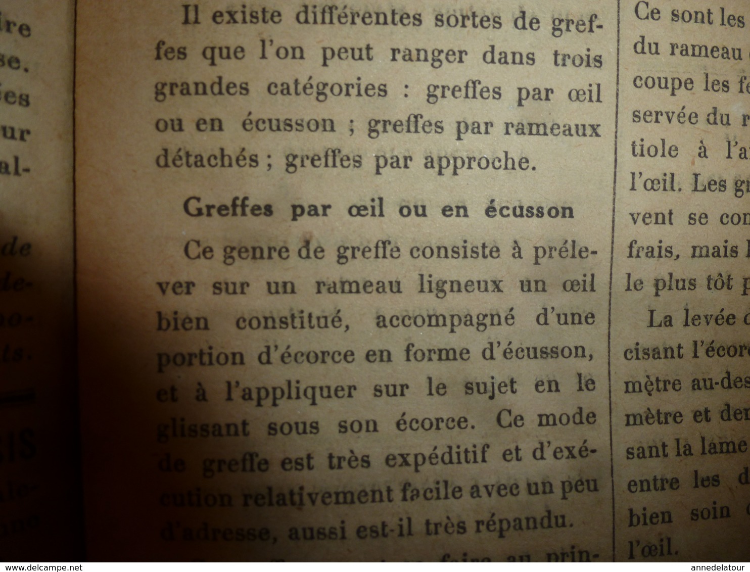 1924 LE BIEN DU TERRIEN -->Les greffes du poirier; Election Reine des Reines du canton de Nolay(J. Cretaine,J.Girard,etc
